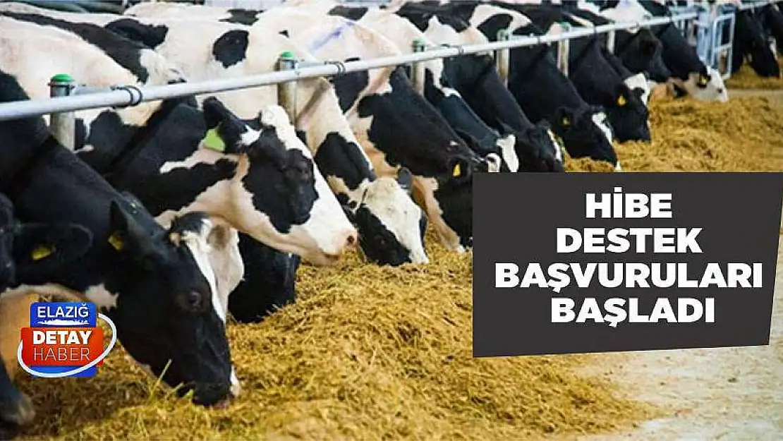 Hibe Destek Başvuruları Başladı