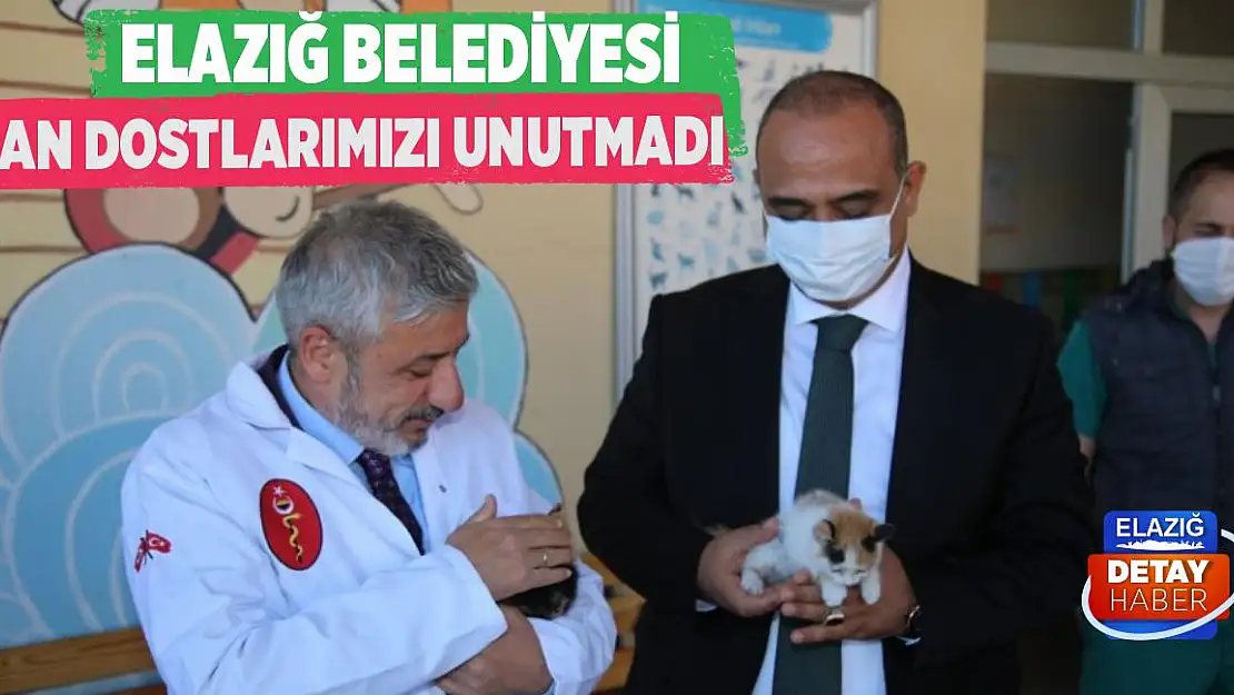 Elazığ Belediyesi Can Dostlarımızı Unutmadı