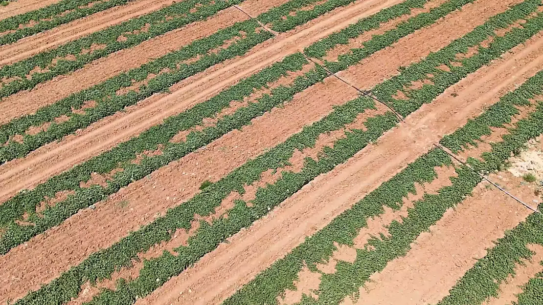 Sivrice İlçesi Dedeyolu Köyü sulama tesisi hizmete açıldı