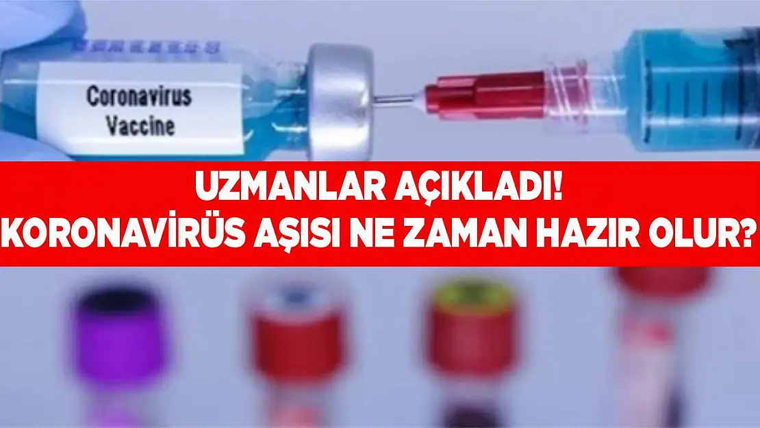 Koronavirüs aşısı ne zaman hazır olur?