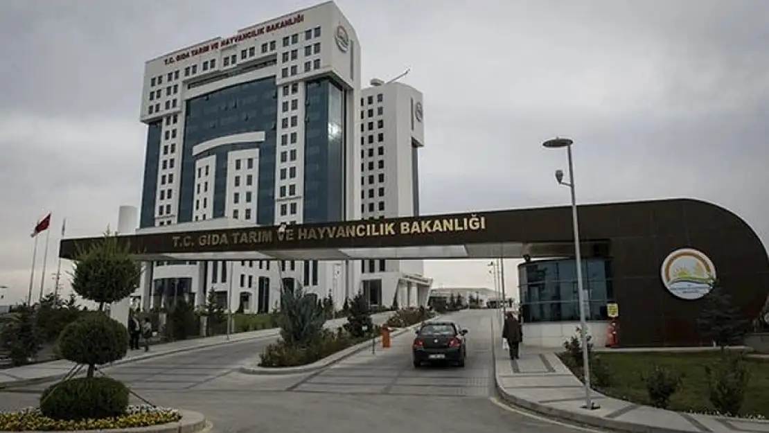 Tarım ve Orman Bakanlığı Elazığ'da 39 işçi alacak