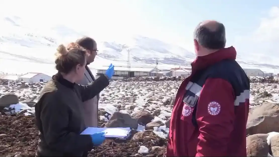 Taşkesen, aşılama çalışmalarıyla ilgili bilgi verdi