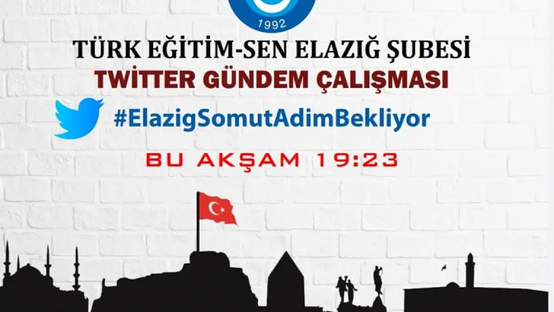 Türk Eğitim Sen twitter gündem çalışması yapacak