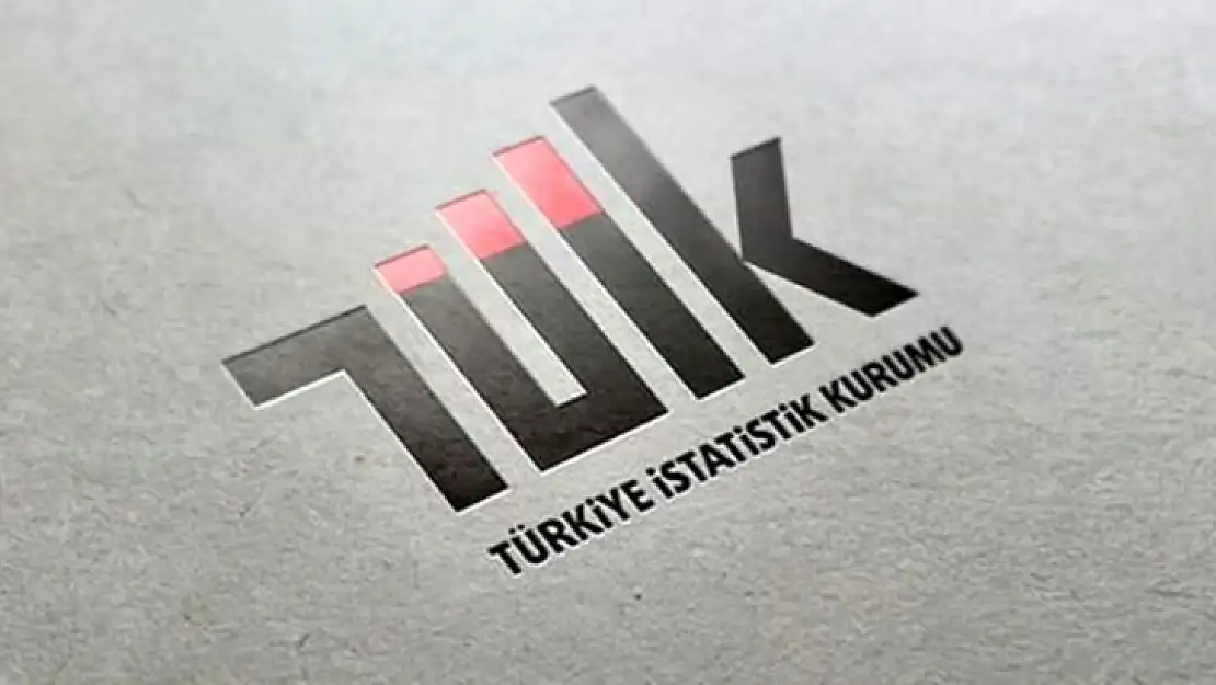 Türkiye İstatistik Kurumu 14 sözleşmeli personel alacak 