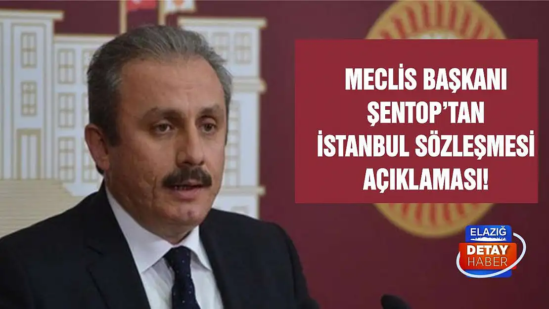 Meclis Başkanı Şentop'tan İstanbul Sözleşmesi açıklaması