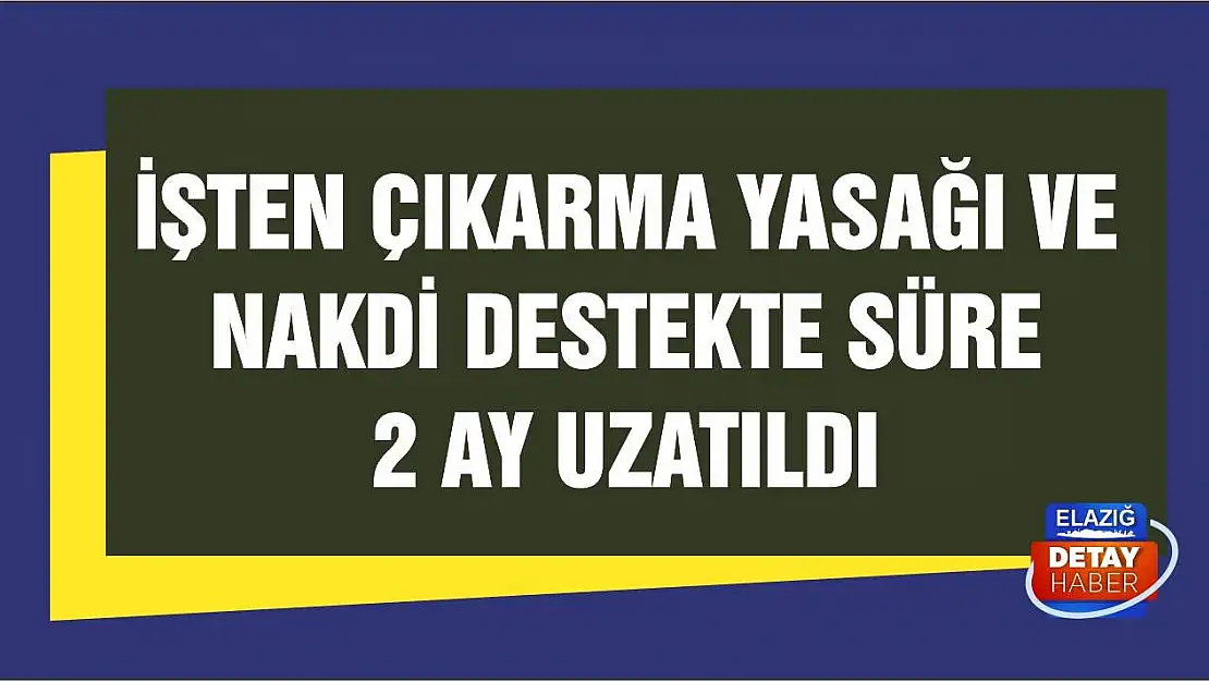 İşten çıkarma yasağı ve nakdi destekte süre 2 ay uzatıldı