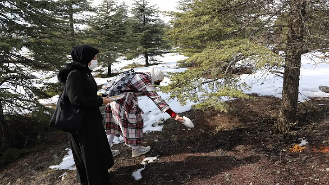 Yabancı uyruklu öğrenciler hayvanlar için doğaya yem bıraktı