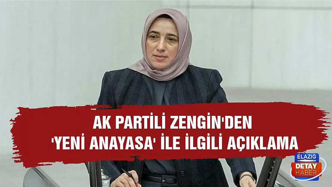 AK Partili Zengin'den 'yeni anayasa' ile ilgili açıklama