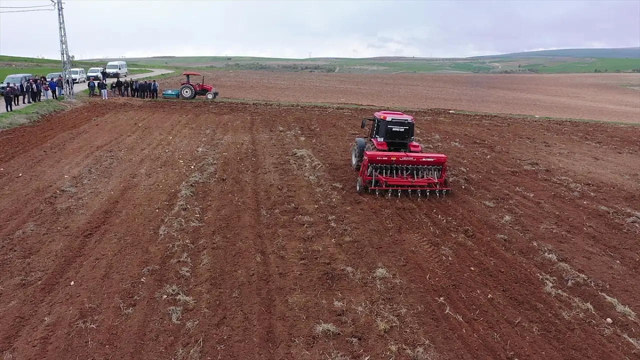 Ağın Leblebisi'nde farklı üretim modeli!