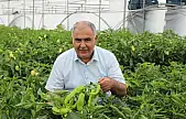 Bitki gelişimi ve üretim koşulları yerinde değerlendirildi