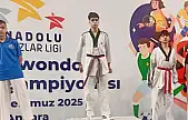 Teakwondo'dan Türkiye dereceleri