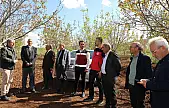 Zirai don değerlendirme toplantısı