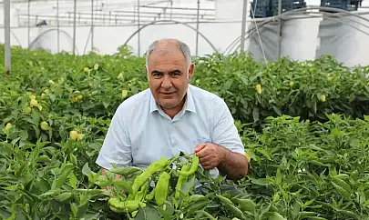Bitki gelişimi ve üretim koşulları yerinde değerlendirildi
