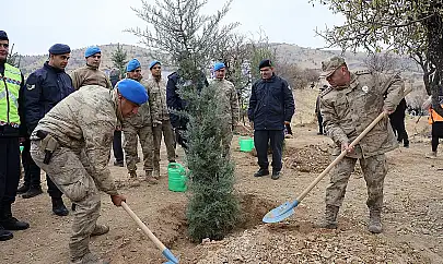 Elazığ'da 25 bin fidan toprakla buluşturulacak
