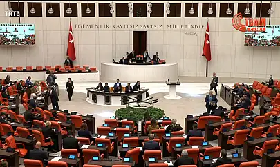Milletvekili Gürsel Erol, TBMM'de söz aldı