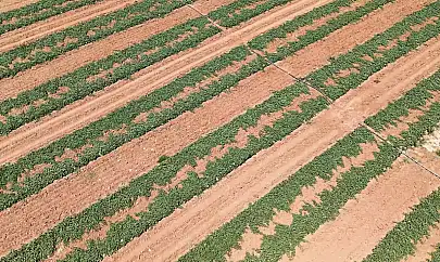 Sivrice İlçesi Dedeyolu Köyü sulama tesisi hizmete açıldı