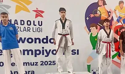 Teakwondo'dan Türkiye dereceleri