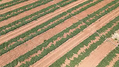 Sivrice İlçesi Dedeyolu Köyü sulama tesisi hizmete açıldı
