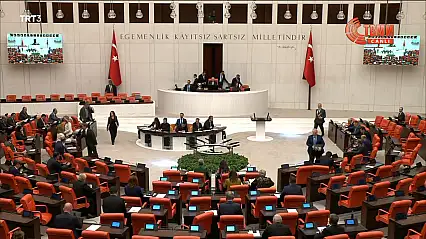 Milletvekili Gürsel Erol, TBMM'de söz aldı