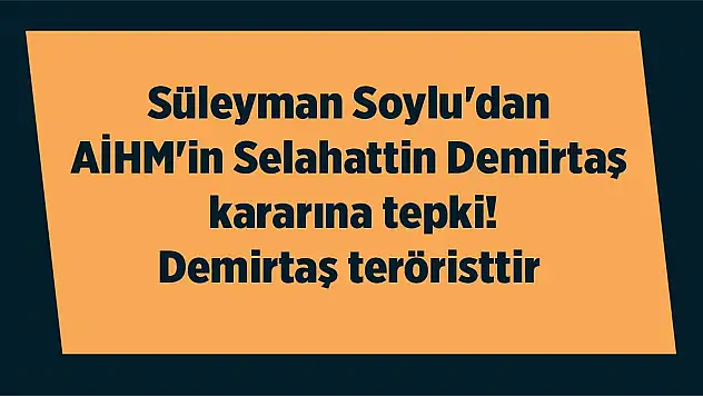 Süleyman Soylu'dan AİHM'in Selahattin Demirtaş kararına tepki! Demirtaş teröristtir