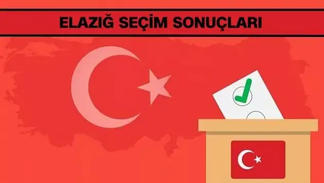 Elazığ'da hangi partiye yurt dışından kaç oy geldi?