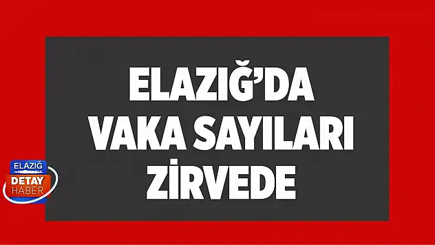 Elazığ Vaka Sayıları Zirvede