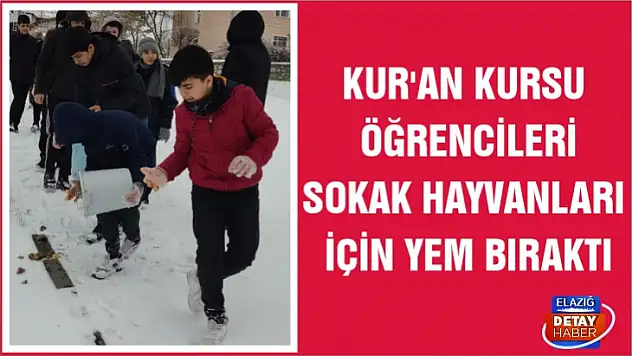 Kur'an Kursu öğrencileri sokak hayvanları için yem bıraktı