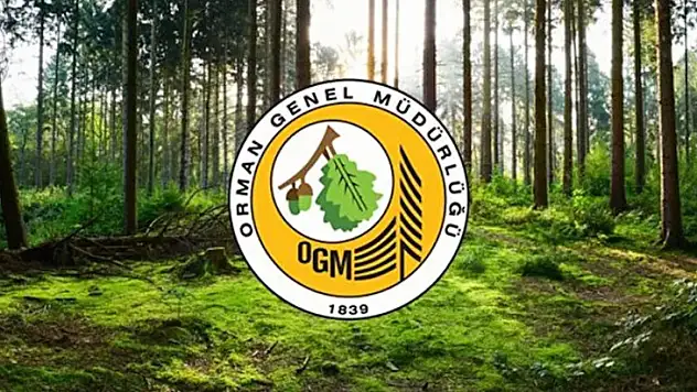 Orman Genel Müdürlüğü 338 sözleşmeli personel alacak