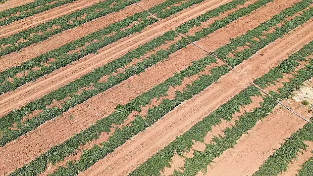 Sivrice İlçesi Dedeyolu Köyü sulama tesisi hizmete açıldı