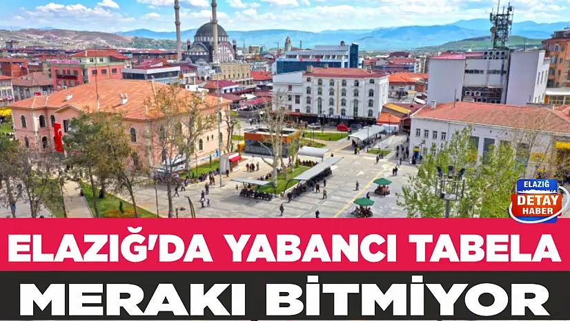 ELAZIĞ'DA YABANCI TABELA MERAKI BİTMİYOR
