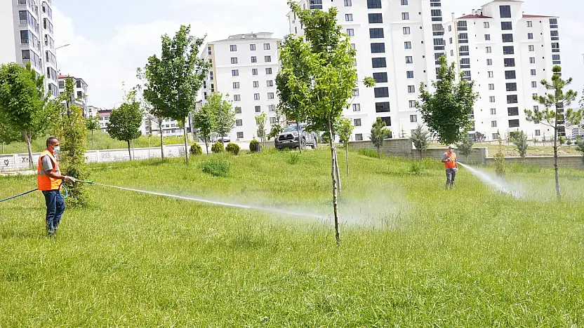 Elazığ Belediyesi, ilaçlama çalışmalarını aralıksız sürdürüyor