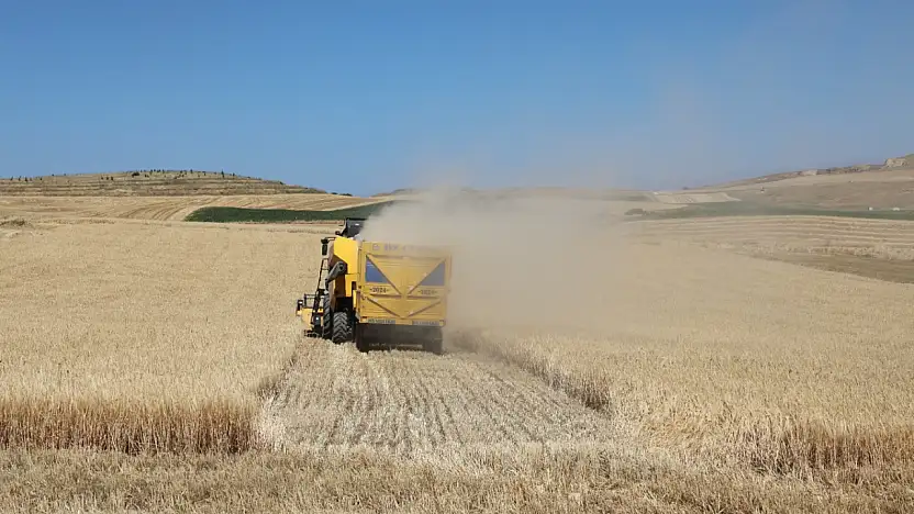 Elazığ'da hububat hasadı başladı