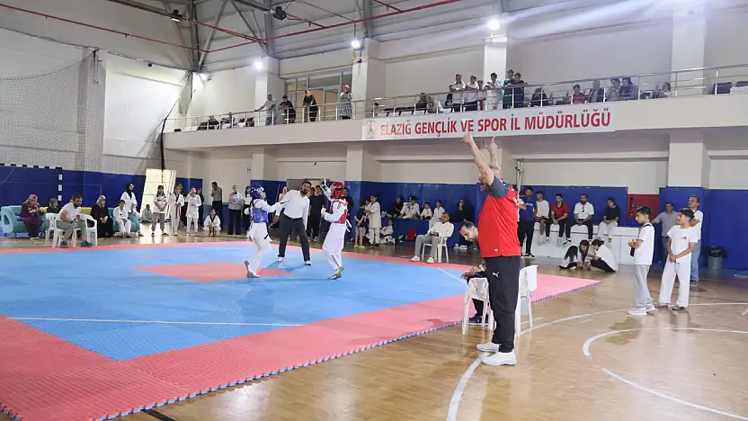 Elazığ'da Taekwondo heyecanı!