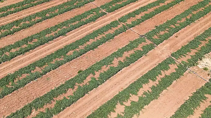 Sivrice İlçesi Dedeyolu Köyü sulama tesisi hizmete açıldı
