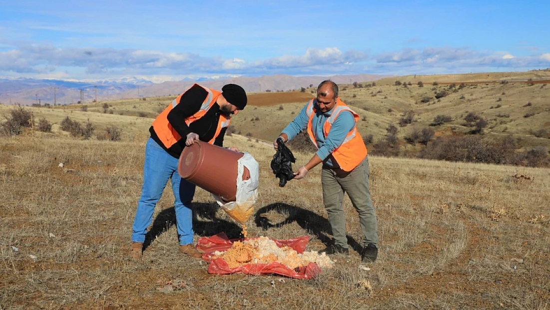 Elazığ Belediyesi doğaya yem bıraktı