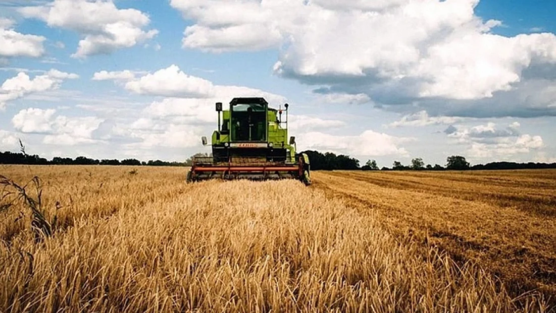 Son başvuru tarihi 31 Aralık
