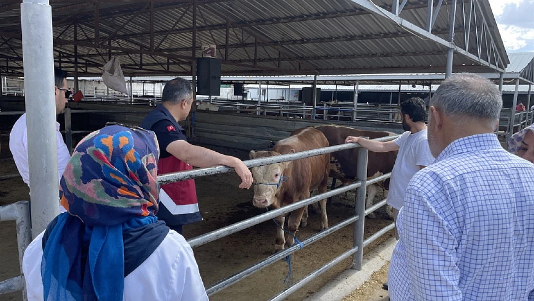 Uzun bir aranın ardından ‘Elazığ Hayvan Pazarı’ açılıyor