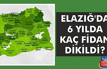 ELAZIĞ'DA 6 YILDA KAÇ FİDAN DİKİLDİ?