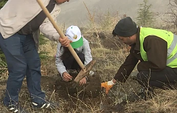 Harput'ta fidan dikildi