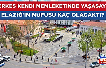 Herkes kendi memleketinde yaşasaydı Elazığ'ın nüfusu kaç olacaktı?