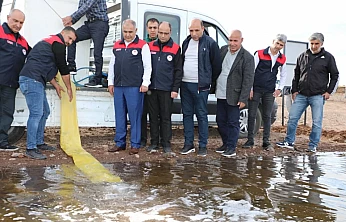 Kalecik Baraj Gölüne sazan bırakıldı