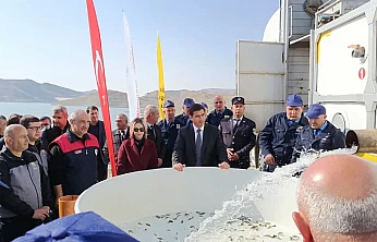 Keban'da Üretilen 300 bin sazan yavrusu Nahçıvan'da suya bırakıldı