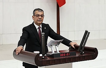 Keleş, Çocuk suçluluğu araştırma komisyonunda görev alacak