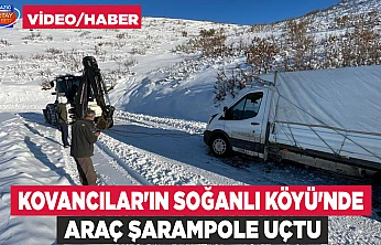 Kovancılar'ın Soğanlı Köyü'nde hayvan taşıma aracı devrildi