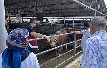 Uzun bir aranın ardından 'Elazığ Hayvan Pazarı' açılıyor