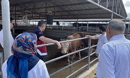 Uzun bir aranın ardından 'Elazığ Hayvan Pazarı' açılıyor