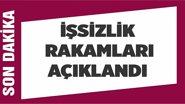 İşsizlik rakamları açıklandı