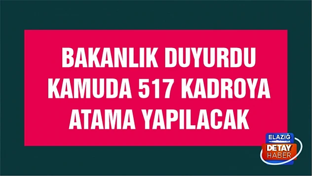 Bakanlık duyurdu Kamuya 517 kadroya atama yapılacak