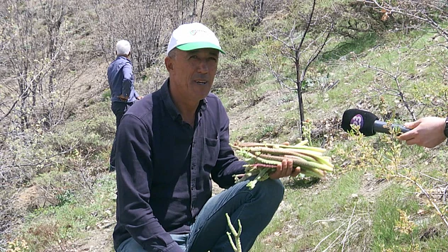 Baskil dağları adeta Işkın cenneti