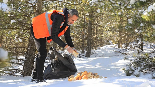 Belediye sokak hayvanlarını unutmadı